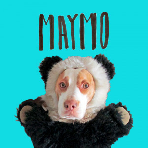 Maymo