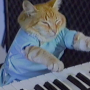 Keyboard Cat 2020