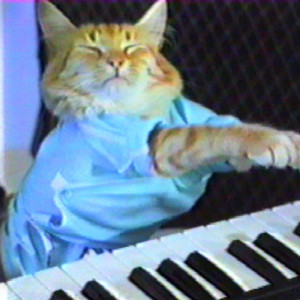 Keyboard Cat 2020