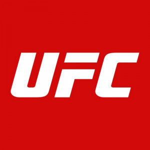 UFC - Ultimate Fighting Championship