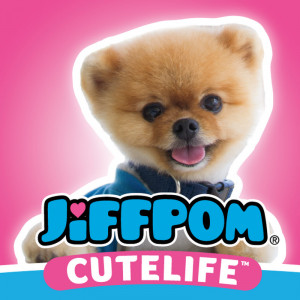 Jiffpom